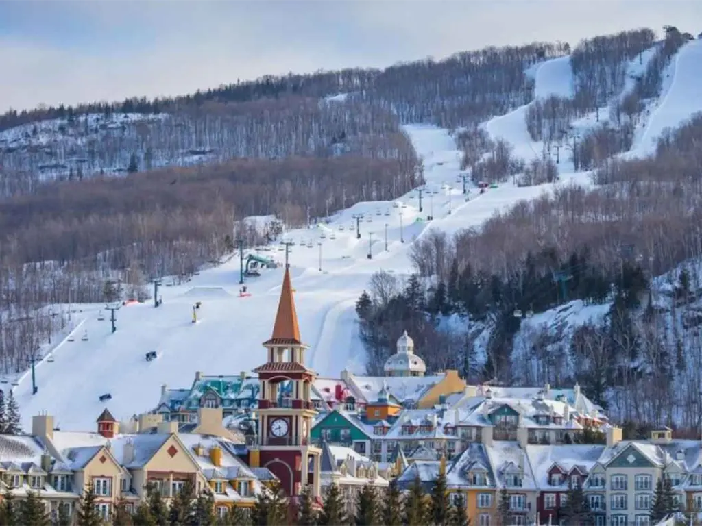 Ski